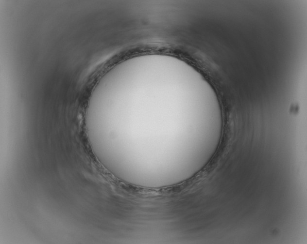 X0000112461302200908171006