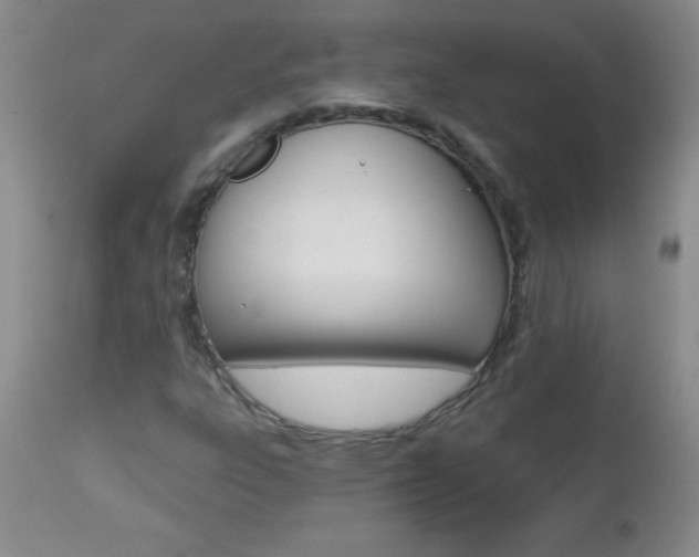 X0000112461303200908171006