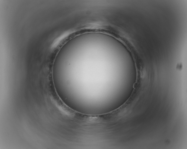 X0000112461304200908171006