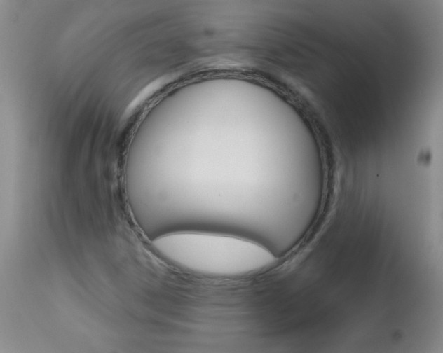 X0000112461306200908171006
