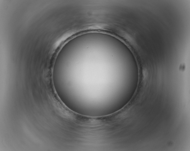X0000112461308200908171006