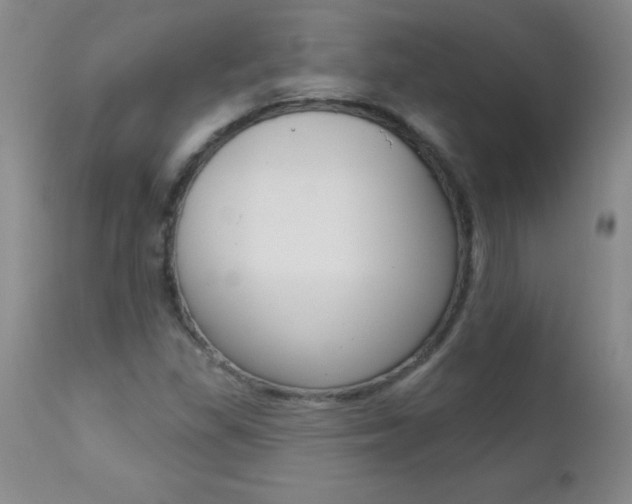 X0000112461309200908171006