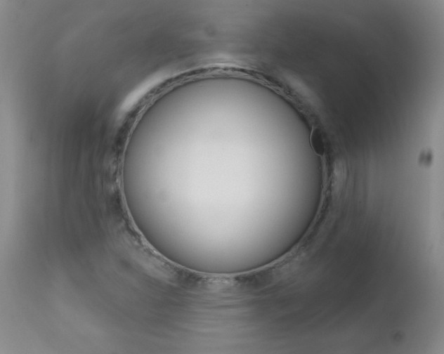X0000112461310200908171006