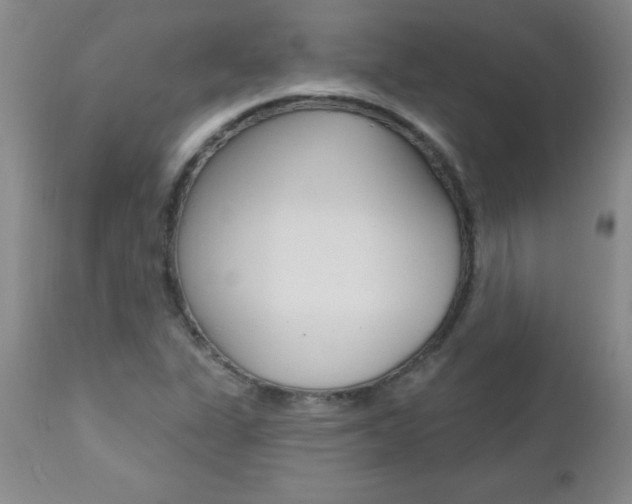 X0000112461311200908171006
