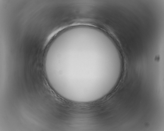 X0000112461312200908171006