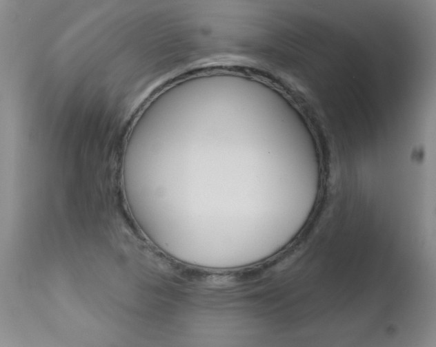 X0000112461313200908171006