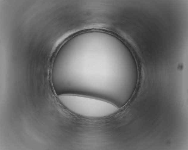 X0000112461316200908171006