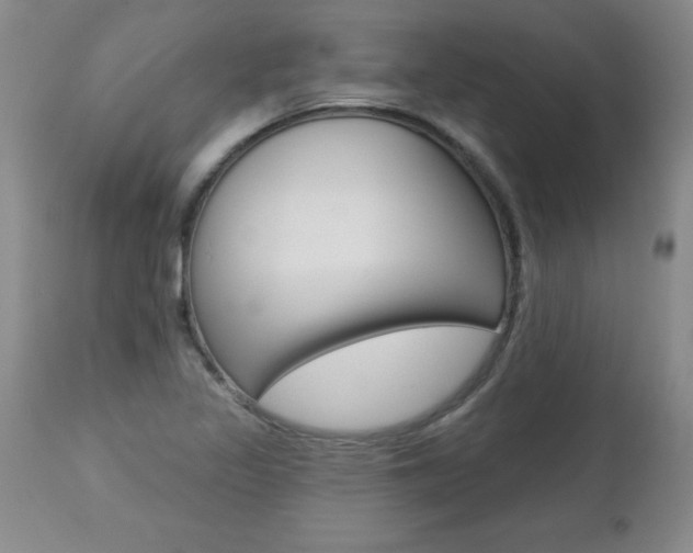 X0000112461317200908171006