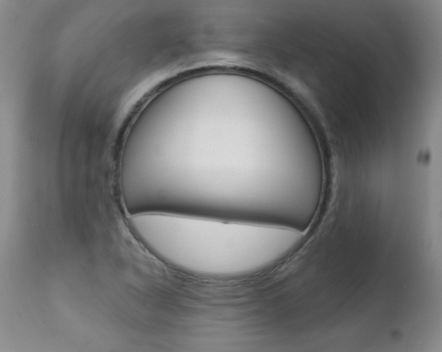 X0000112461318200908171006