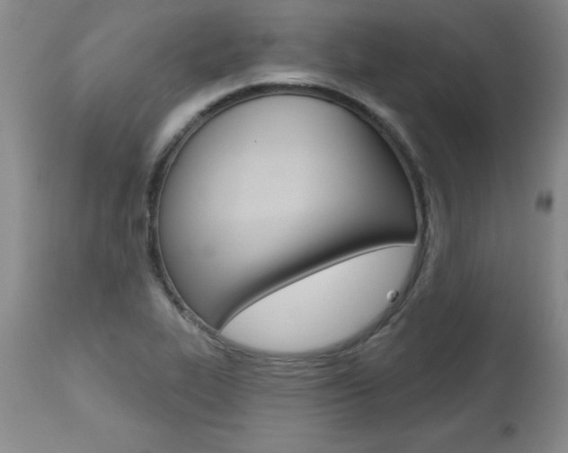 X0000112461319200908171006