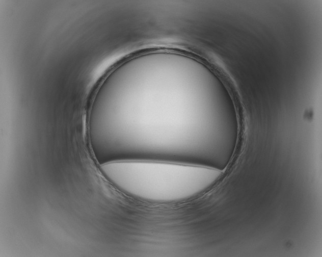 X0000112461320200908171006