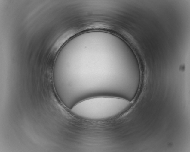 X0000112461321200908171006