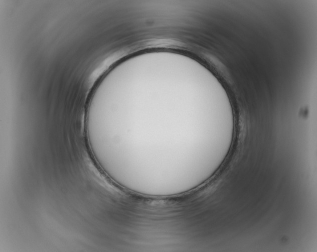 X0000112461322200908171006