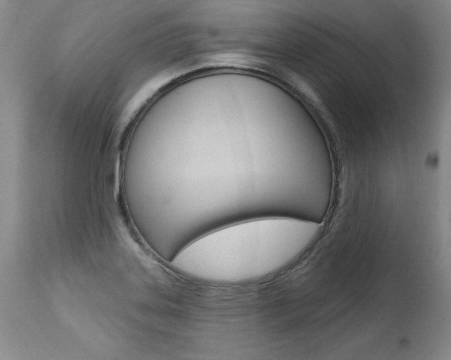 X0000112461323200908171006