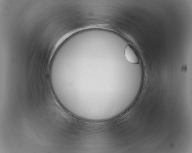 X0000112461324200908171006