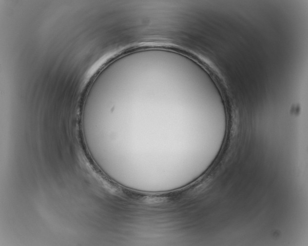X0000112461325200908171006