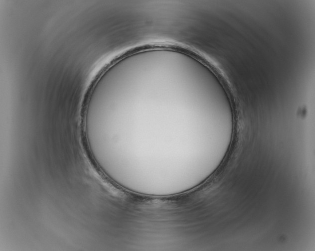 X0000112461327200908171006