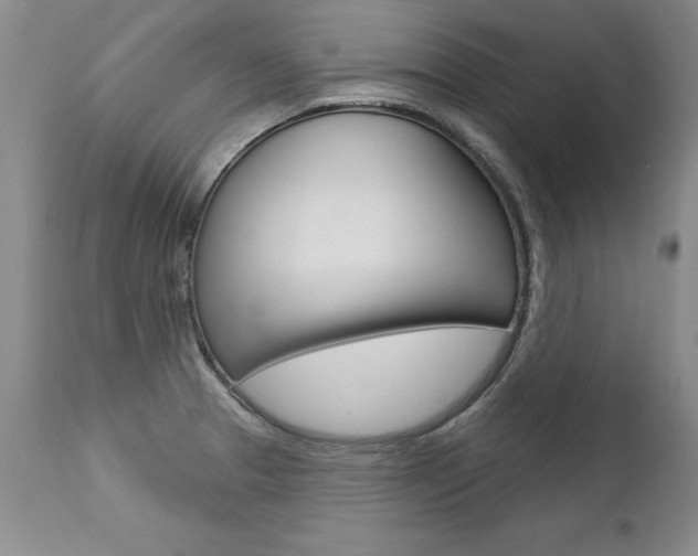 X0000112461329200908171006