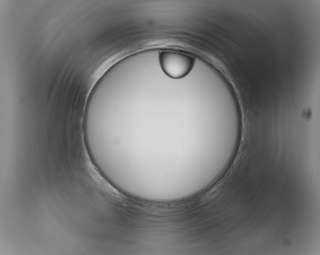 X0000112461330200908171006