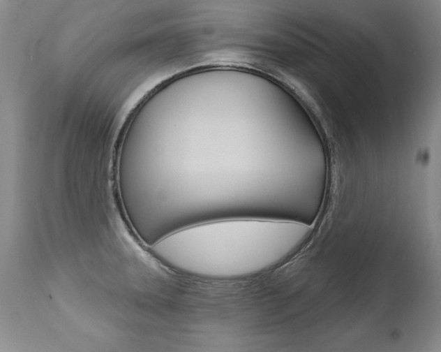 X0000112461331200908171007
