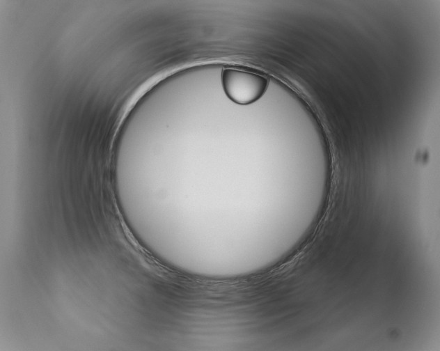 X0000112461332200908171007