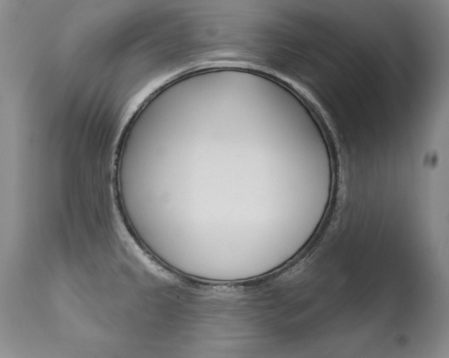 X0000112461333200908171007