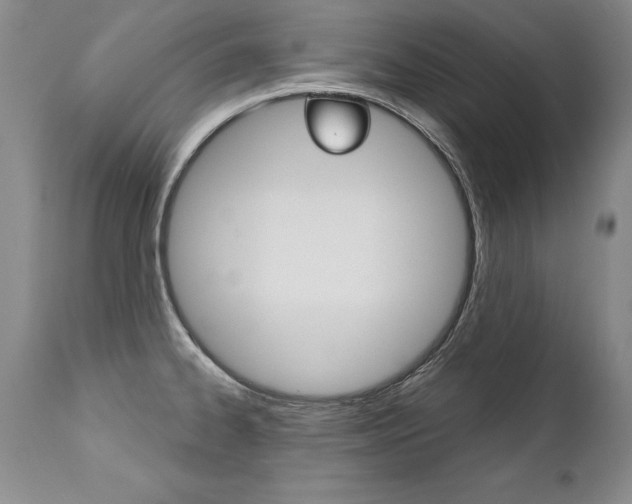 X0000112461334200908171007