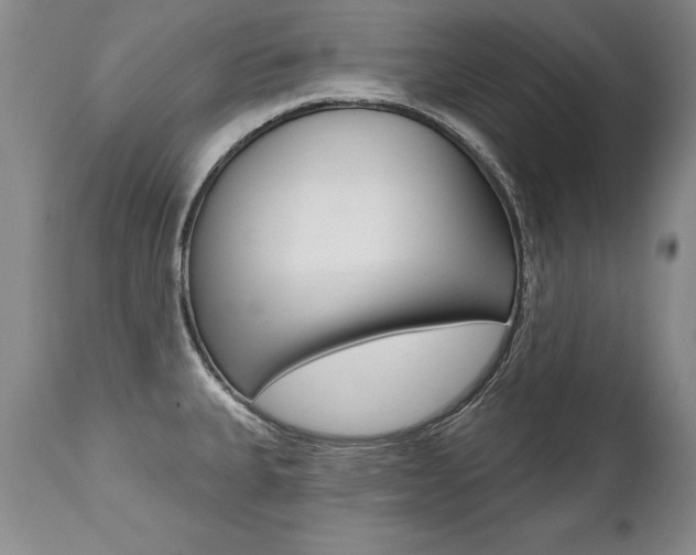 X0000112461335200908171007