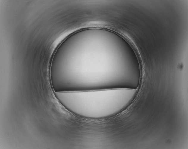 X0000112461336200908171007