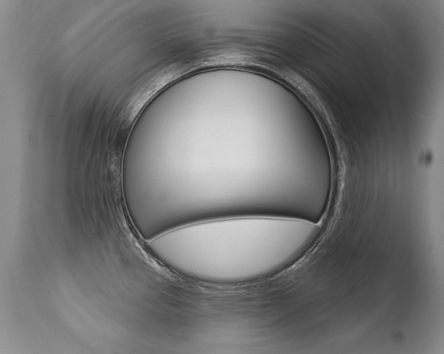 X0000112461337200908171007