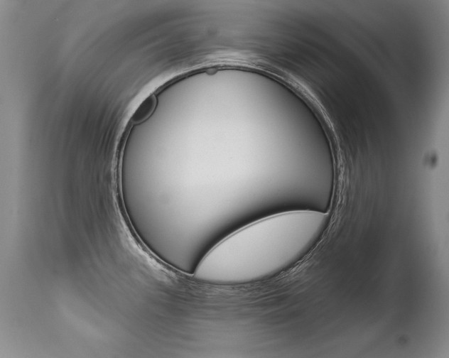 X0000112461339200908171007
