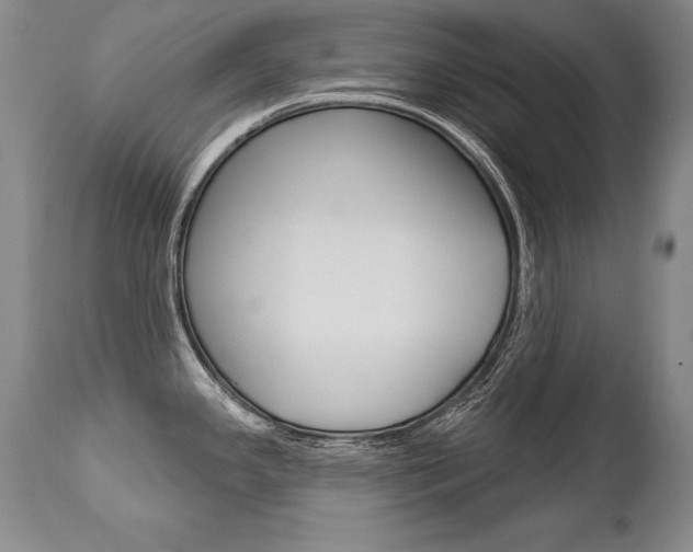 X0000112461341200908171007