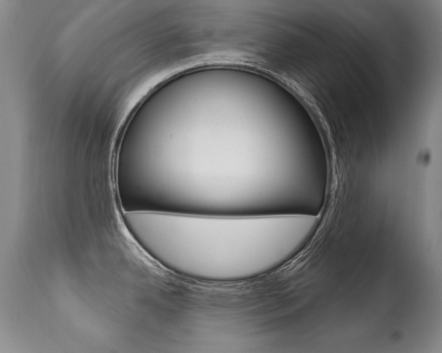 X0000112461342200908171007