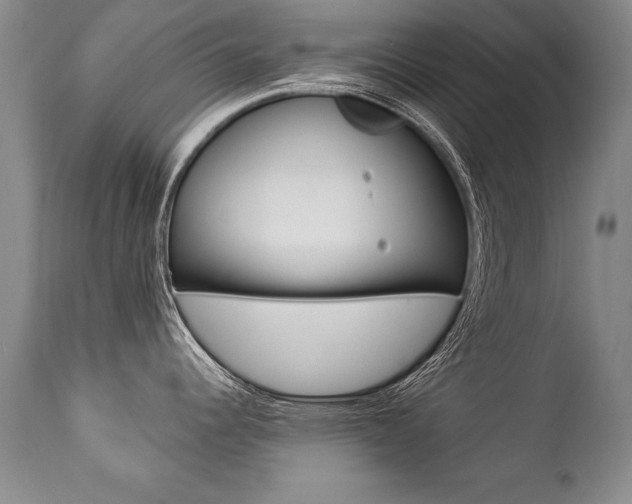 X0000112461344200908171007