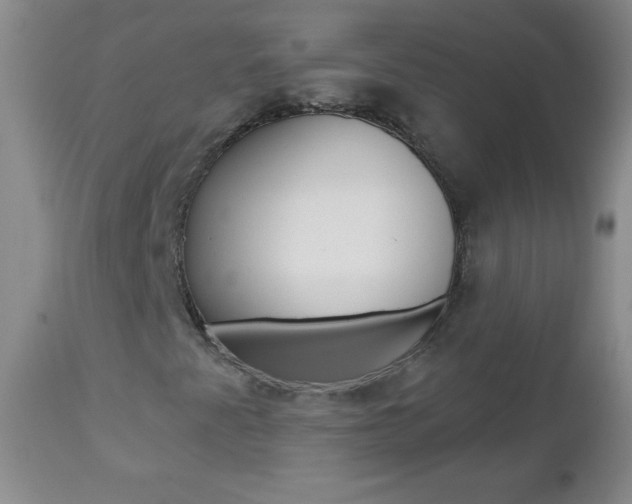 X0000112461345200908171006