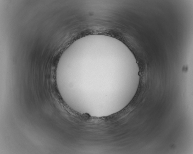 X0000112461346200908171006