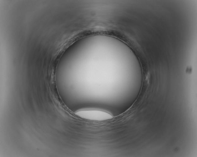 X0000112461348200908171006