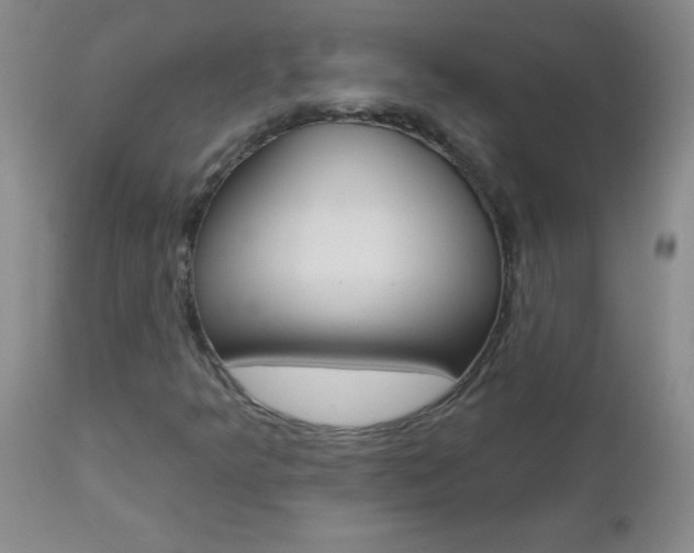 X0000112461349200908171006