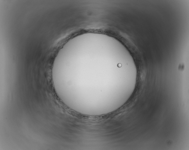 X0000112461350200908171006