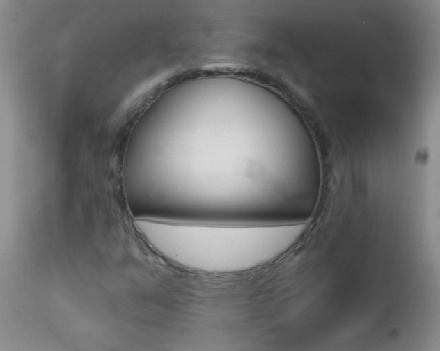 X0000112461351200908171006