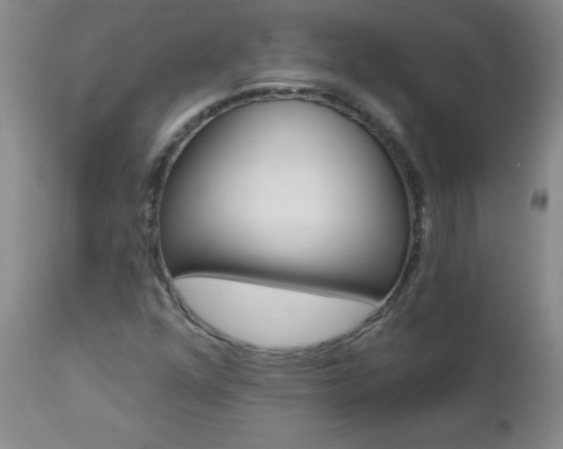 X0000112461352200908171006