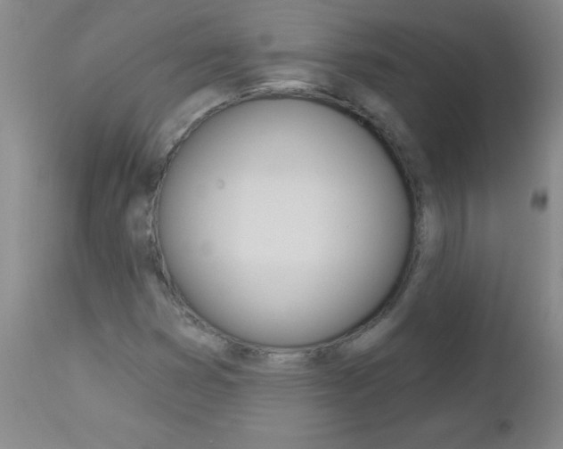 X0000112461353200908171006