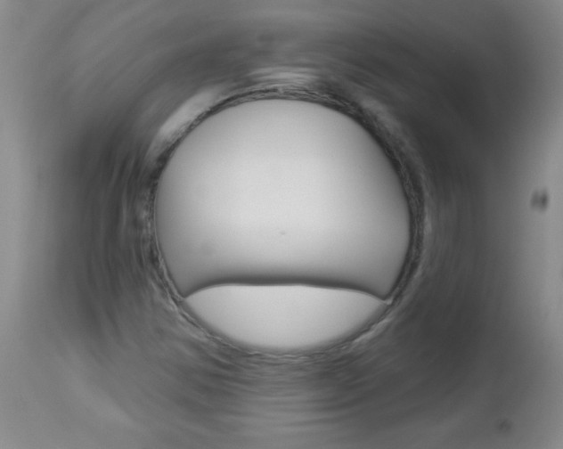 X0000112461354200908171006