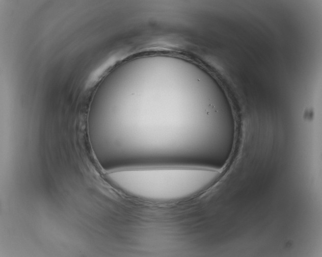 X0000112461355200908171006