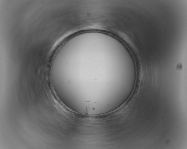 X0000112461356200908171006