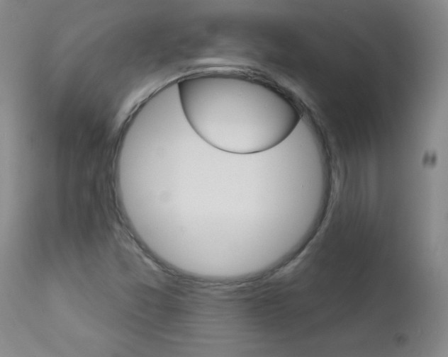 X0000112461357200908171006