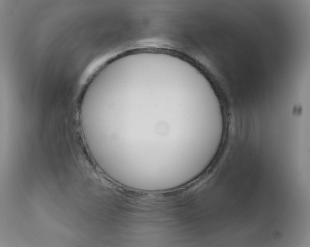 X0000112461358200908171006