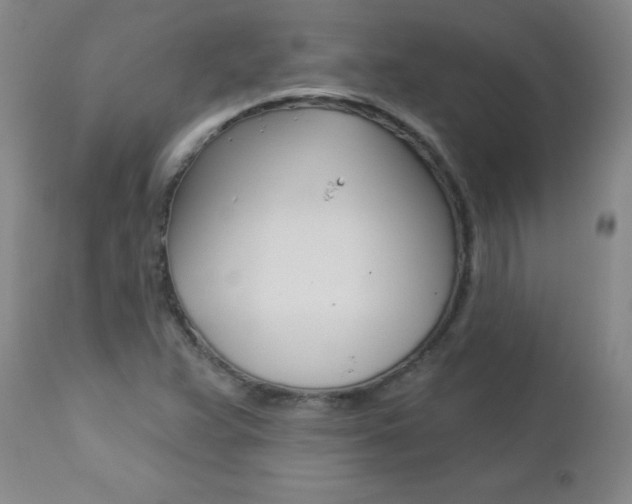 X0000112461359200908171006