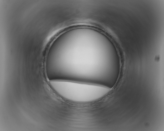 X0000112461360200908171006