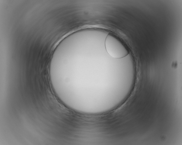 X0000112461361200908171006